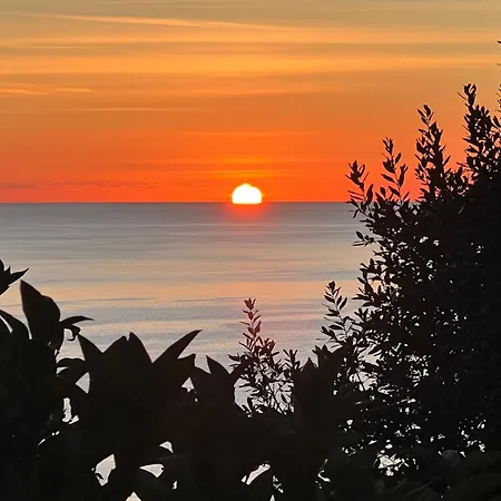 Un Coin De Paradis Avec Vue Et Jardin Appartement