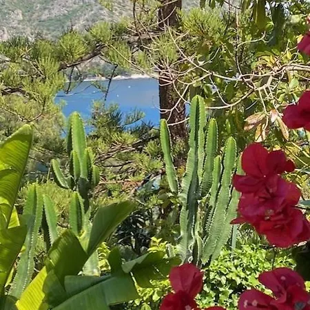 Un Coin De Paradis Avec Vue Et Jardin Apartment